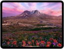Apple iPad Pro 13 (2024)