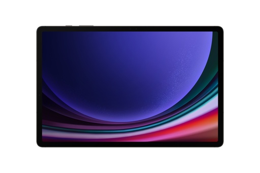 Samsung Galaxy Tab S9 256GB/12GB